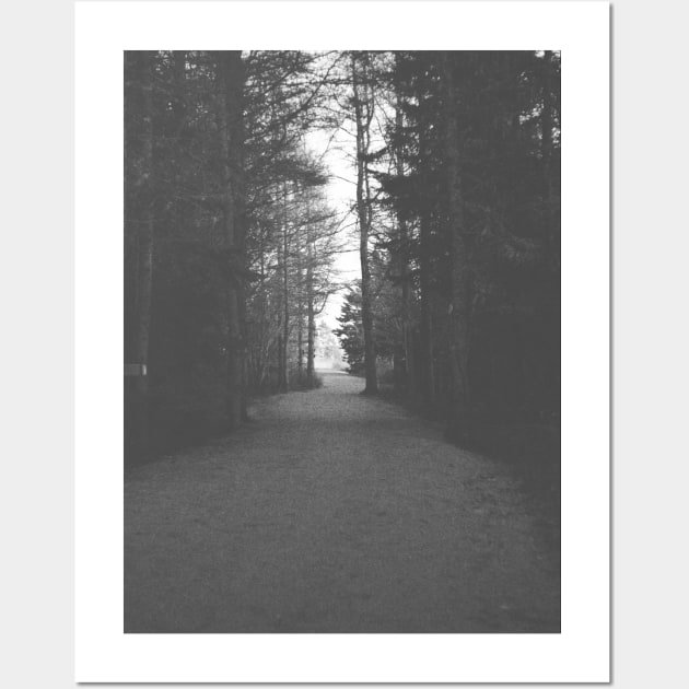 From Darkness to Light, Forest Trail V4 Wall Art by Family journey with God